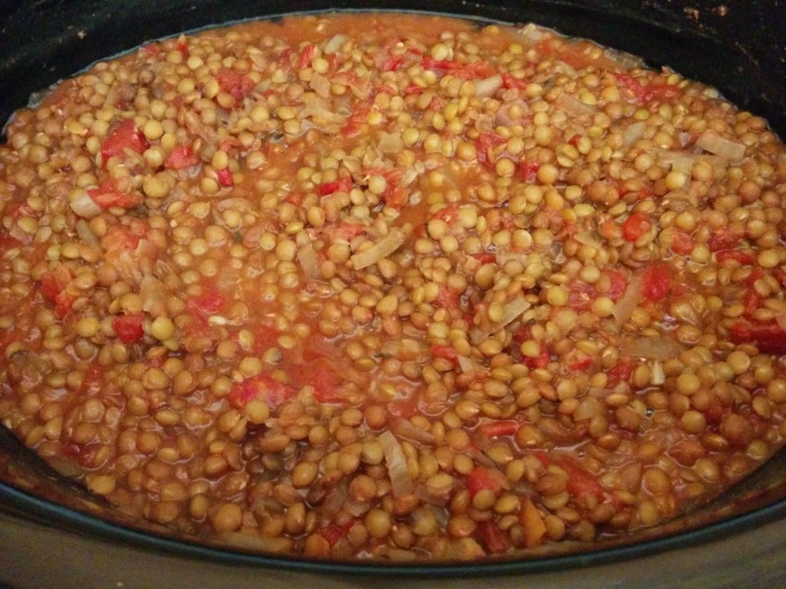This Lentil Tomato Stew doesn't photograph so pretty, but it's damn tasty!